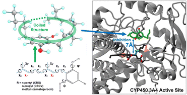 Graphical abstract: Bioactivity of the cannabigerol cannabinoid and its analogues – the role of 3-dimensional conformation