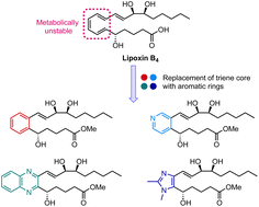 Graphical abstract: A general synthesis of aromatic and heteroaromatic lipoxin B4 analogues