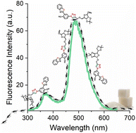 Graphical abstract: Photoactive glycoconjugates with a very large Stokes shift: synthesis, photophysics, and copper(ii) and BSA sensing