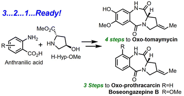 Graphical abstract: Concise access to C2-ethylidene pyrrolo[1,4]benzodiazepine natural products