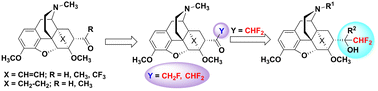 Graphical abstract: C(21)-Di- and monofluorinated scaffold for thevinol/orvinol-based opioid receptor ligands