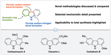 Graphical abstract: Trends in carbazole synthesis – an update (2013–2023)