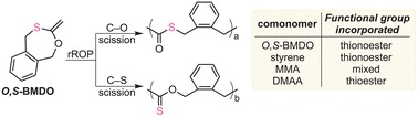 Graphical abstract: An orthogonal O,S-CKA monomer for the introduction of thioester and/or thionoester functionalities by radical polymerization