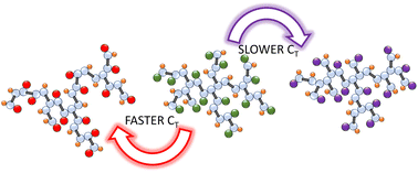 Graphical abstract: Exploring telogen chemical structure and reactivity when forming highly branched polyesters derived from ethylene glycol dimethacrylate homopolymerisation under transfer-dominated branching radical telomerisation (TBRT) conditions