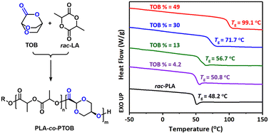 Graphical abstract: High-Tg PLA copolymers via base-catalyzed transesterification of PLA with 2,5,7-trioxabicyclo[2.2.2]octan-6-one