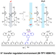 Graphical abstract: Protonic nanoenvironment engineering for tuning the electrocatalytic efficiency and product selectivity of O2 reduction