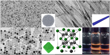 Graphical abstract: Shape-controlled synthesis and self-assembly of highly uniform upconverting calcium fluoride nanocrystals