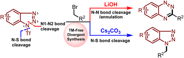 Graphical abstract: Selective N–N or N–S bond cleavage of 1-trifluoromethyl benzotriazoles enables divergent synthesis of 1,2,4-benzotriazines and benzotriazoles