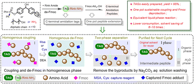 Graphical abstract: One-pot and sustainable liquid-phase peptide extension for synthesis of C-terminal amidation peptides aided by small molecular tags