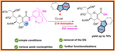 Graphical abstract: Directed copper-catalyzed dehydrogenative C–H amination of unsaturated sialic acids