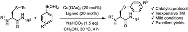 Graphical abstract: Cu-catalyzed arylation of S-tosyl peptides with arylboronic acids