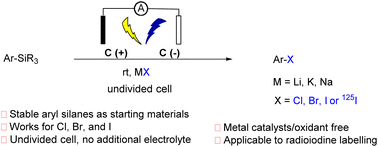 Graphical abstract: Electrochemical (radio)-halodesilylation of aromatic silanes