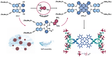 Graphical abstract: Controlling the reactivity of phthalonitriles for the efficient synthesis of chiral phthalocyanines with self-assembly abilities