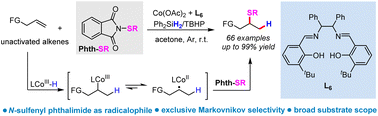 Graphical abstract: N-Sulfenyl phthalimide enabled Markovnikov hydrothiolation of unactivated alkenes via ligand promoted cobalt catalysis