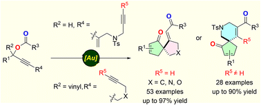 Graphical abstract: Gold catalyzed spirocyclization of 1-ene-4,9- and 3-ene-1,7-diyne esters to azaspiro[4.4]nonenones and azaspiro[4.5]decadienones