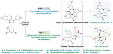 Graphical abstract: Divergent reactivity of acrylamides and β-chloroenones under base-controlled palladium catalysis: construction of spirooxindoles and furan-containing 3,3-disubstituted oxindoles