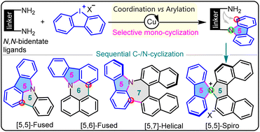 Graphical abstract: Sequential annulation of bidentate diamines for modular access to N-fused/helical/spiro-carbazole scaffolds