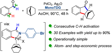 Graphical abstract: Annulation of benzaldehydes with norbornenes toward indanones assisted by monodentate transient directing groups via double C–H activation