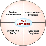 Graphical abstract: C–H borylation: a tool for molecular diversification