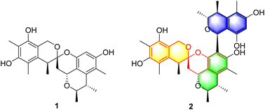 Graphical abstract: Spirocitrinols A and B, citrinin derivatives with a spiro[chromane-2,3′-isochromane] skeleton from Penicillium citrinum