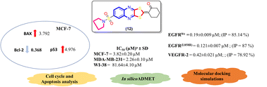 Graphical abstract: A new class of anti-proliferative activity and apoptotic inducer with molecular docking studies for a novel of 1,3-dithiolo[4,5-b]quinoxaline derivatives hybrid with a sulfonamide moiety