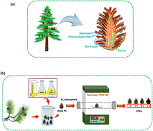 Graphical abstract: A highly efficient and sustainable photoabsorber in solar-driven seawater desalination and wastewater purification