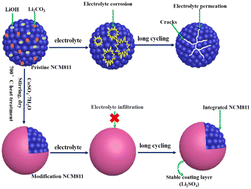 Graphical abstract: An effective co-modification strategy to enhance the cycle stability of LiNi0.8Co0.1Mn0.1O2 for lithium-ion batteries