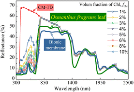 Graphical abstract: A light scattering camouflage membrane with similar solar spectrum reflectance to leaves based on a chlorophyll and titanium dioxide composite