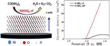 Graphical abstract: Self-assembled c-oriented Ni(OH)2 films for enhanced electrocatalytic activity towards the urea oxidation reaction