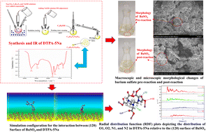 Graphical abstract: Preparation of barium sulfate chelating agent DTPA-5Na and molecular dynamics simulation of chelating mechanism