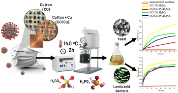 Graphical abstract: Use of copper-functionalized cotton waste in combined chemical and biological processes for production of valuable chemical compounds