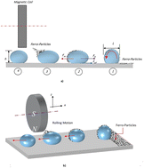 Graphical abstract: Dynamics of droplet motion over hydrophobic surfaces with functionalized and non-functionalized ferro particles