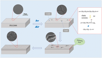 Graphical abstract: Study on aging behavior of polyethylene glycol under three wavelengths of ultraviolet light irradiation