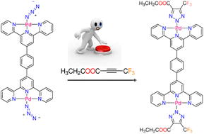 Graphical abstract: Reactivity of azido terpyridine Pd(ii) and Pt(ii) complexes towards 4,4,4-trifluoro-2-butynoic acid: structural insight into the triazolato coordination mode