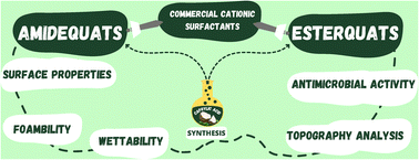 Graphical abstract: Quaternary ammonium salts based on caprylic acid as antimicrobial and surface-active agents