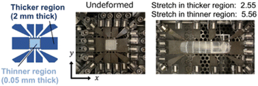 Graphical abstract: Strain hardening in biaxially stretched elastomers undergoing strain-induced crystallization