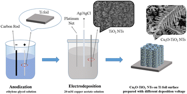 Graphical abstract: Fabrication of Cu2O-loaded TiO2 nanotubes with heterojunctions via an electrochemical method: enhanced photocatalytic activity