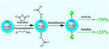 Graphical abstract: Improvement of DERA activity and stability in the synthesis of statin precursors by immobilization on magnetic nanoparticles