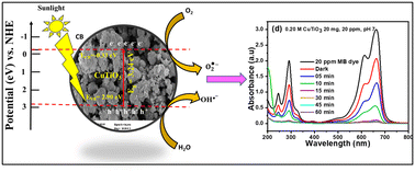 Graphical abstract: Electrocatalytic and photocatalytic activity of CuTiO3 perovskites for complete degradation of methylene blue under sunlight irradiation