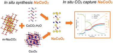 Graphical abstract: Tracking sodium cobaltate formation pathways and its CO2 capture dynamics in real time with synchrotron X-ray diffraction