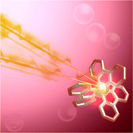 Graphical abstract: Observation of parallel intersystem crossing and charge transfer-state dynamics in [Fe(bpy)3]2+ from ultrafast 2D electronic spectroscopy