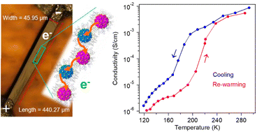 Graphical abstract: Electron transport through supercrystals of atomically precise gold nanoclusters: a thermal bi-stability effect