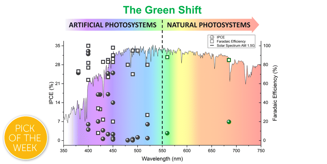 Graphical abstract: A breath of sunshine: oxygenic photosynthesis by functional molecular architectures