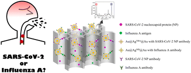 Graphical abstract: Rapid and simultaneous detection of SARS-CoV-2 and influenza A using vertical flow assay based on AAO and SERS nanotags