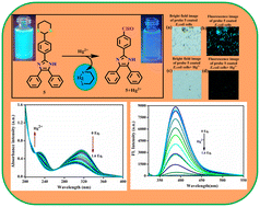 Graphical abstract: Turn-off fluorescence of imidazole-based sensor probe for mercury ions