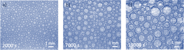 Graphical abstract: Coarsening transitions of wet liquid foams under microgravity conditions