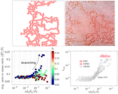 Graphical abstract: Anisotropic short-range attractions precisely model branched erythrocyte aggregates