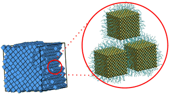 Graphical abstract: A multiscale approach to uncover the self-assembly of ligand-covered palladium nanocubes