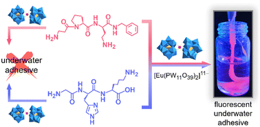 Graphical abstract: Modular co-assembly of peptides and polyoxometalates into underwater adhesives with photoluminescence and adjustable adhesion