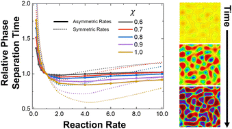 Graphical abstract: Modeling the competition between phase separation and polymerization under explicit polydispersity